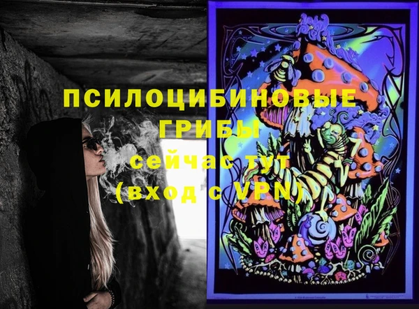 спиды Аркадак