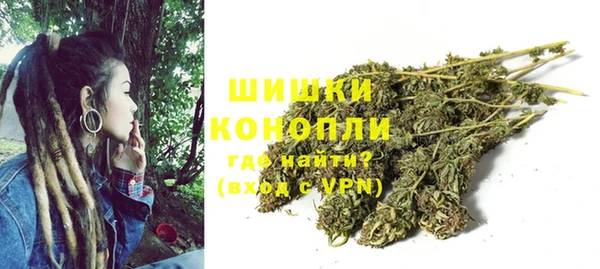 дмт Арсеньев