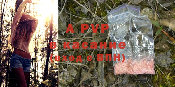 дмт Арсеньев