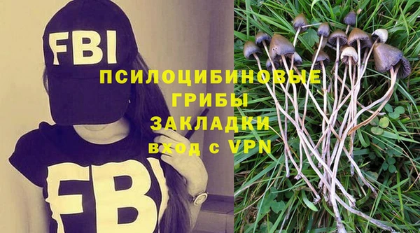 спиды Аркадак