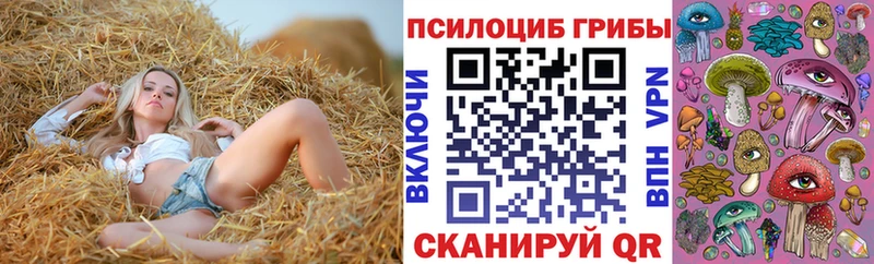Галлюциногенные грибы Psilocybine cubensis  Купить  Славгород 