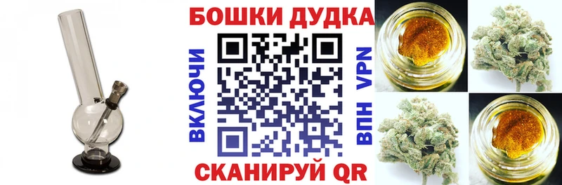 Купить закладки  Славгород  Конопля семена 